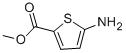 methyl 5-aminothiophene-2-carboxylate