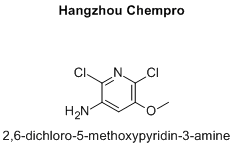 2,6-dichloro-5-methoxypyridin-3-amine