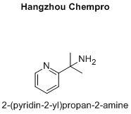 2-(pyridin-2-yl)propan-2-amine