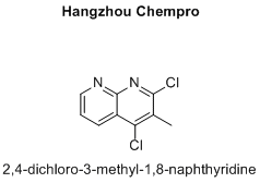 2,4-dichloro-3-methyl-1,8-naphthyridine
